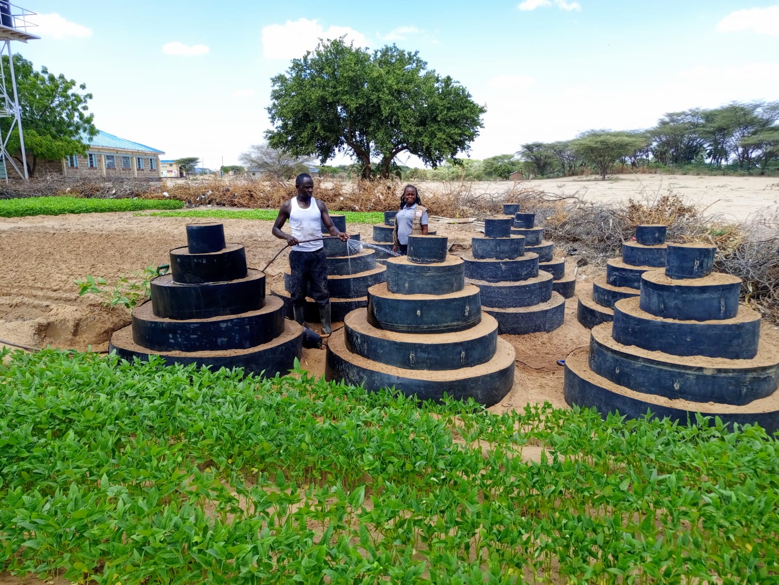 Kitchen garden-Nakuru
