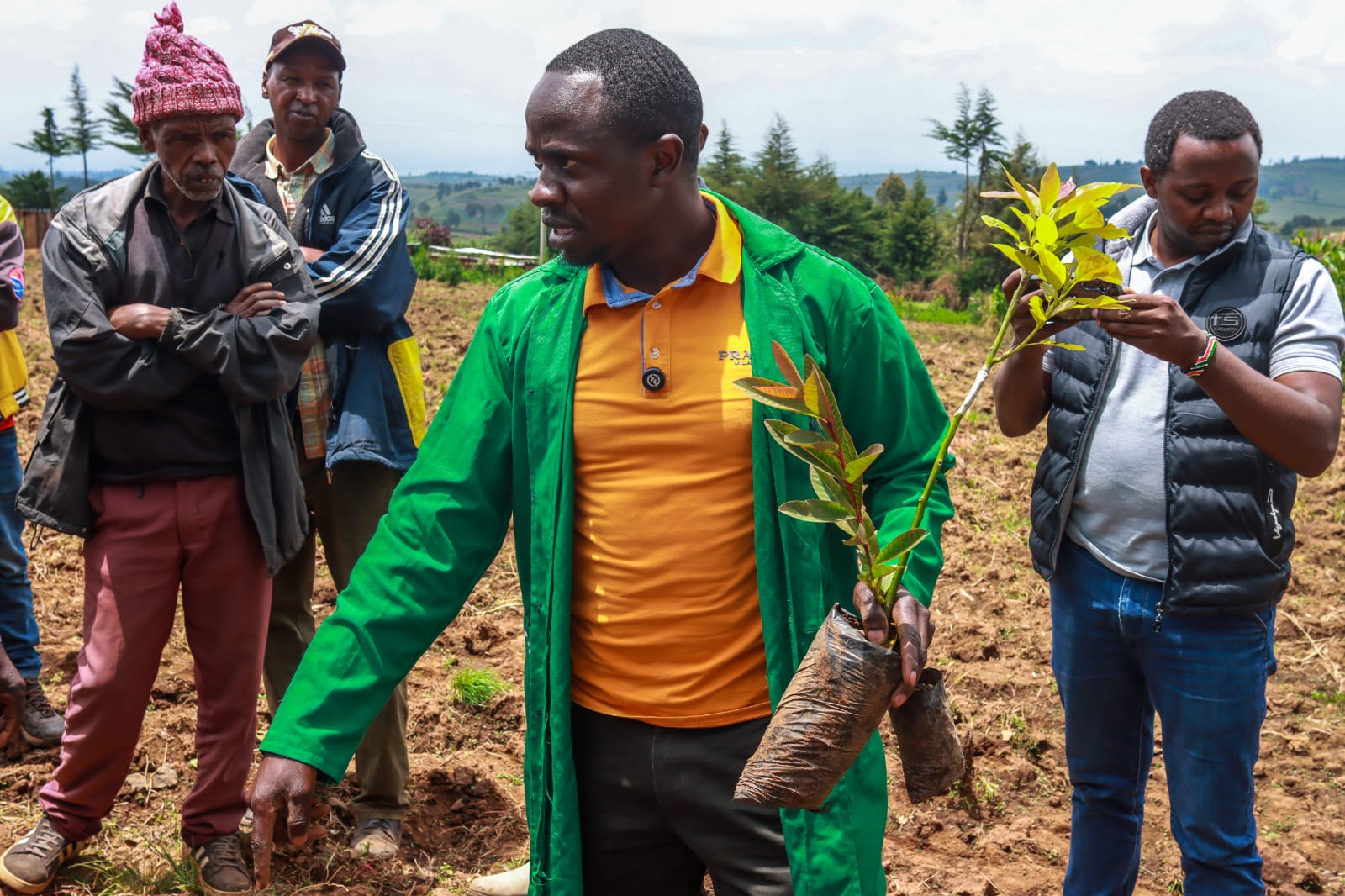 Tree planting-Nakuru