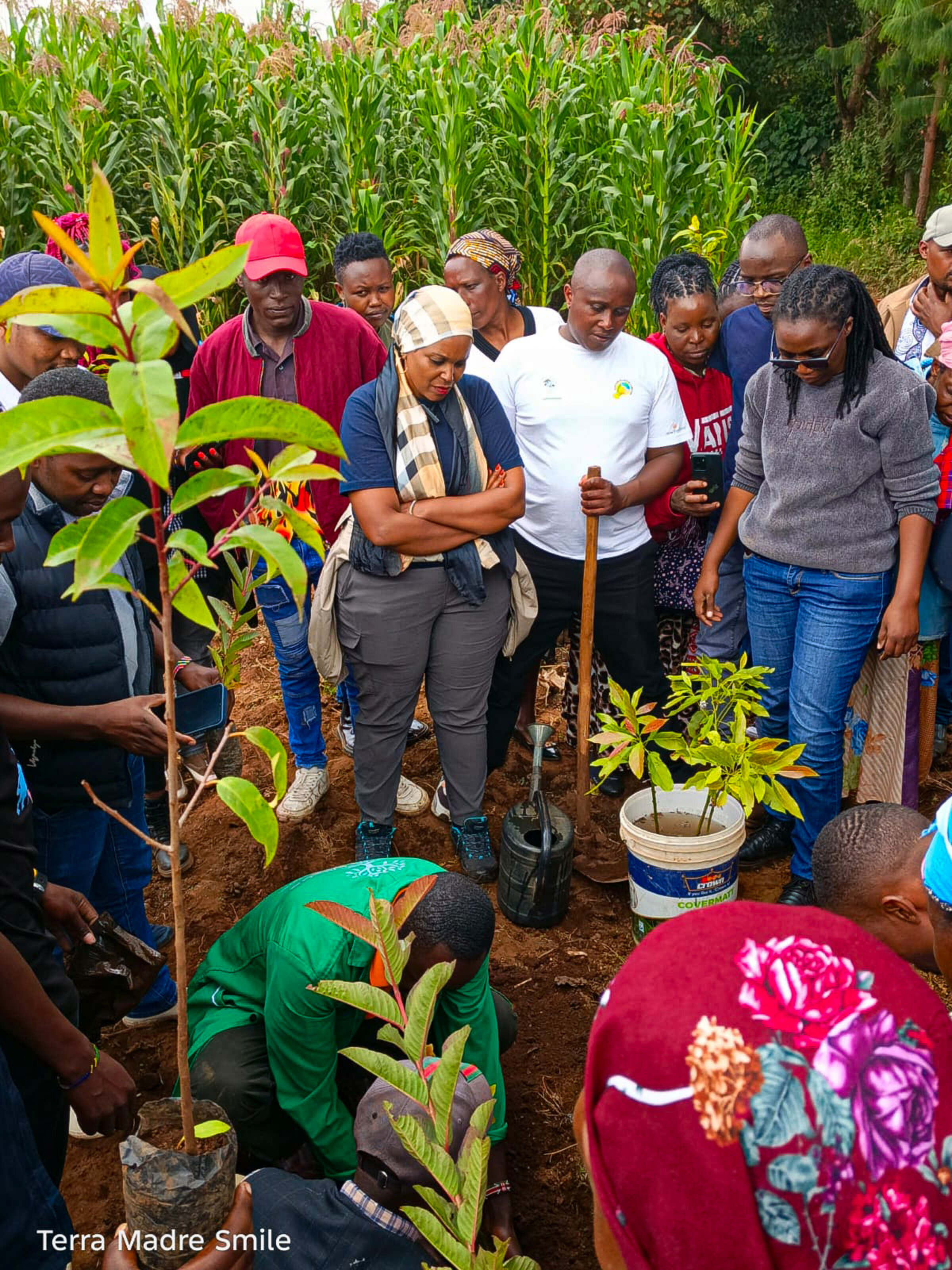 Tree planting-Nakuru